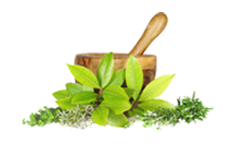 Ayurvedic and Herbal Products
