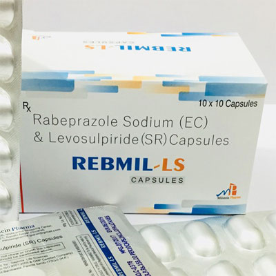 Rebmil LS