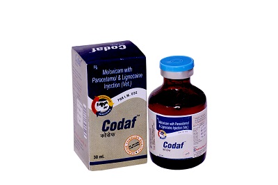 meloxicam with paracetamol and lignocaine