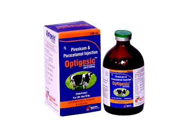 PIROXICAM and PARACETAMOL