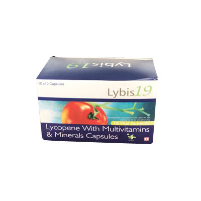 LYBIS 19