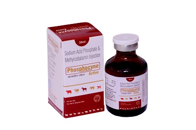 sodiium acid phosphate and methylcobalamin