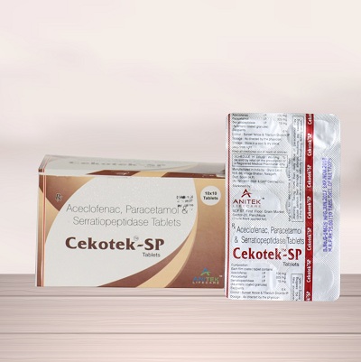 Cekotek-SP