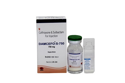 ceftriaxone and sulbactam