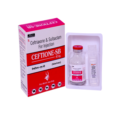 CEFTIONE SB