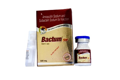 amoxycillin sodium and sulbactam sodium