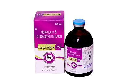 meloxicam and paracetamol