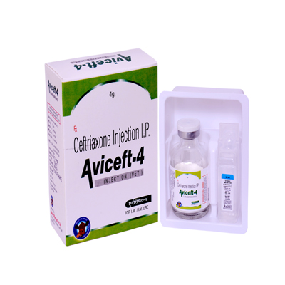 Aviceft 4