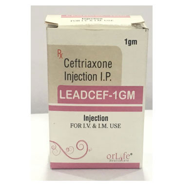 LEADCEF 1GM