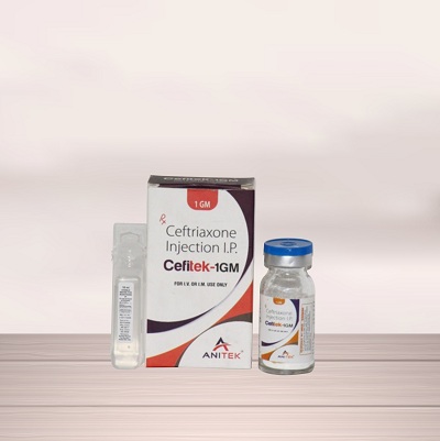 Cefitek-1GM