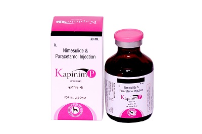 nimesulide and paracetamol