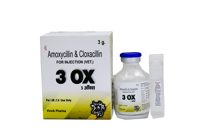 amoxycillin and cloxacillin